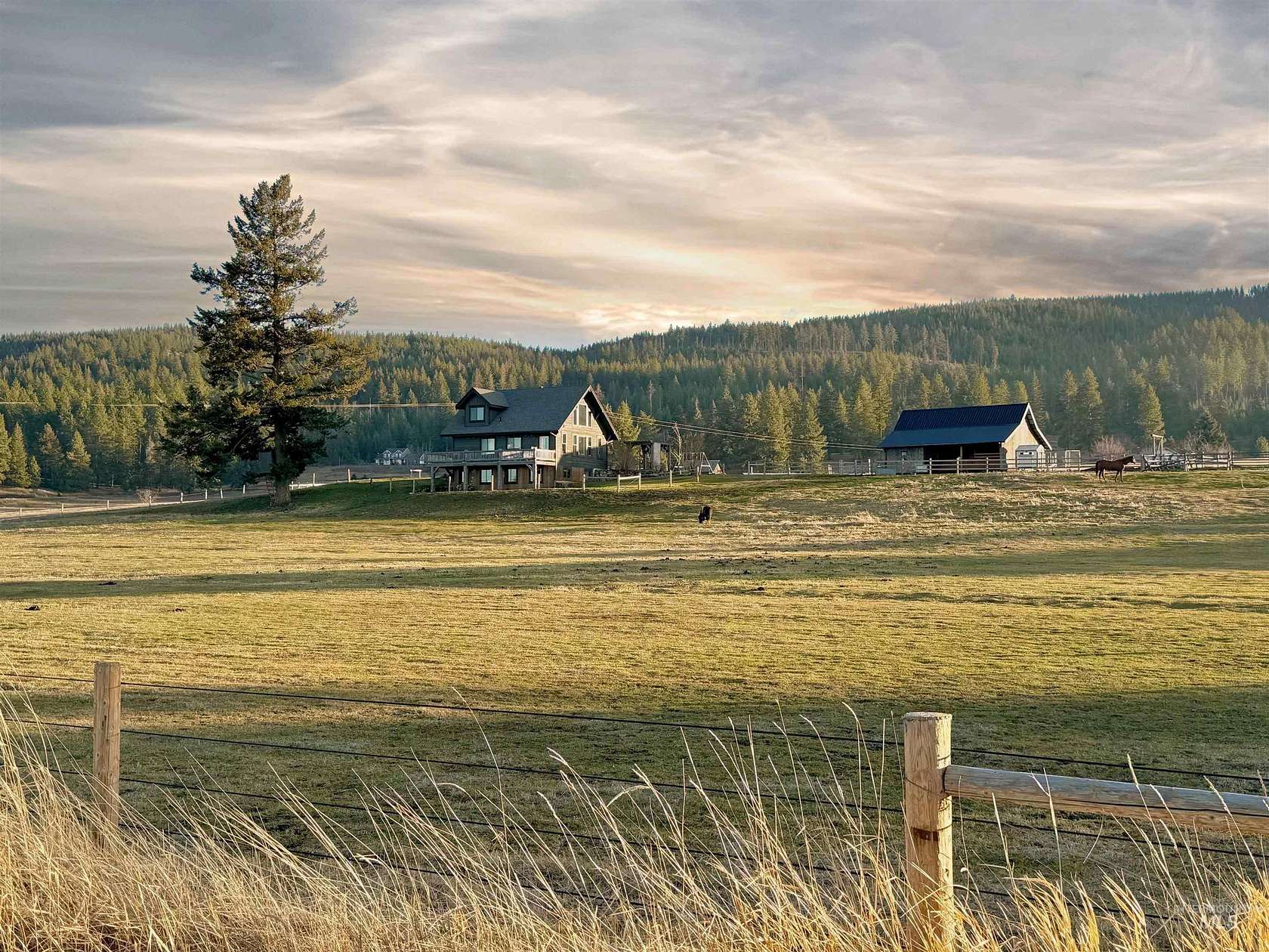 9.43 Acres of Land with Home for Sale in Grangeville, Idaho