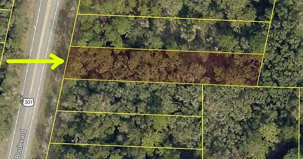 0.35 Acres of Residential Land for Sale in Webster, Florida