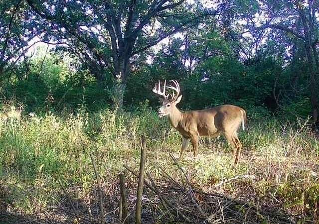18.4 Acres of Recreational Land for Sale in Independence, Missouri