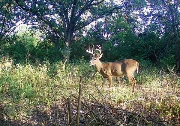 18.4 Acres of Recreational Land for Sale in Independence, Missouri