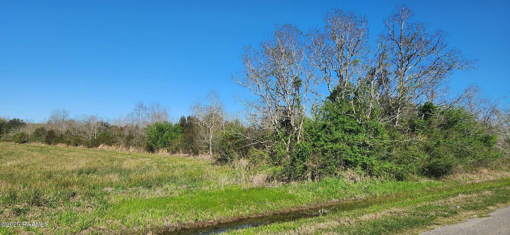 47 Acres of Recreational Land for Sale in Gueydan, Louisiana