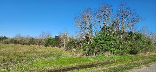 47 Acres of Recreational Land for Sale in Gueydan, Louisiana