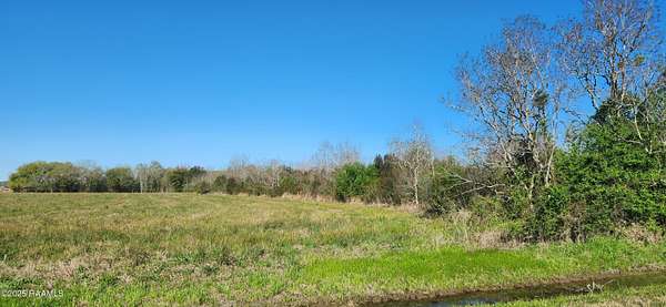 47 Acres of Recreational Land for Sale in Gueydan, Louisiana