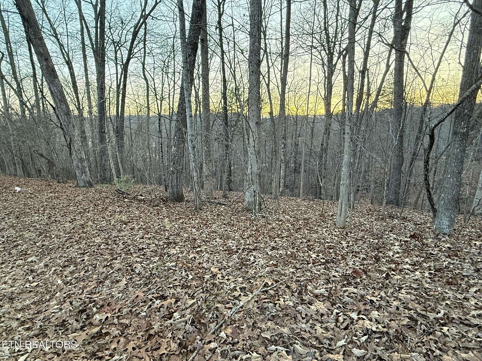 1.49 Acres of Residential Land for Sale in La Follette, Tennessee