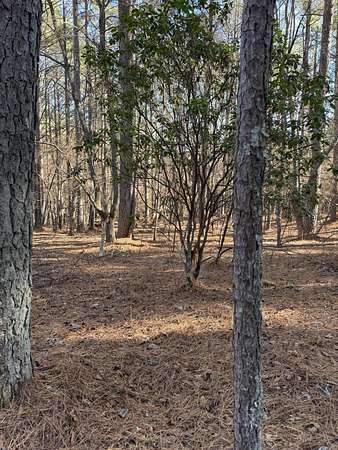 23.2 Acres of Land for Sale in Copperhill, Tennessee