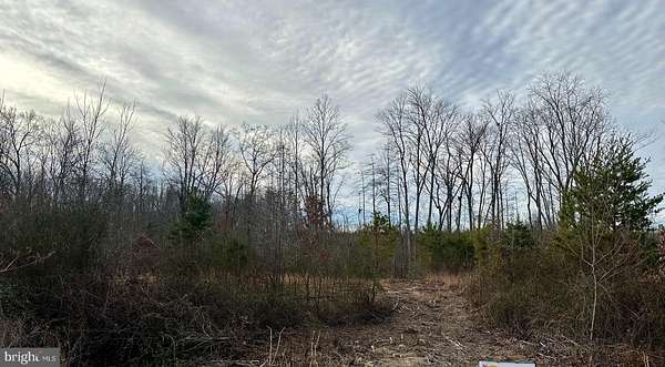 1.69 Acres of Residential Land for Sale in Bumpass, Virginia
