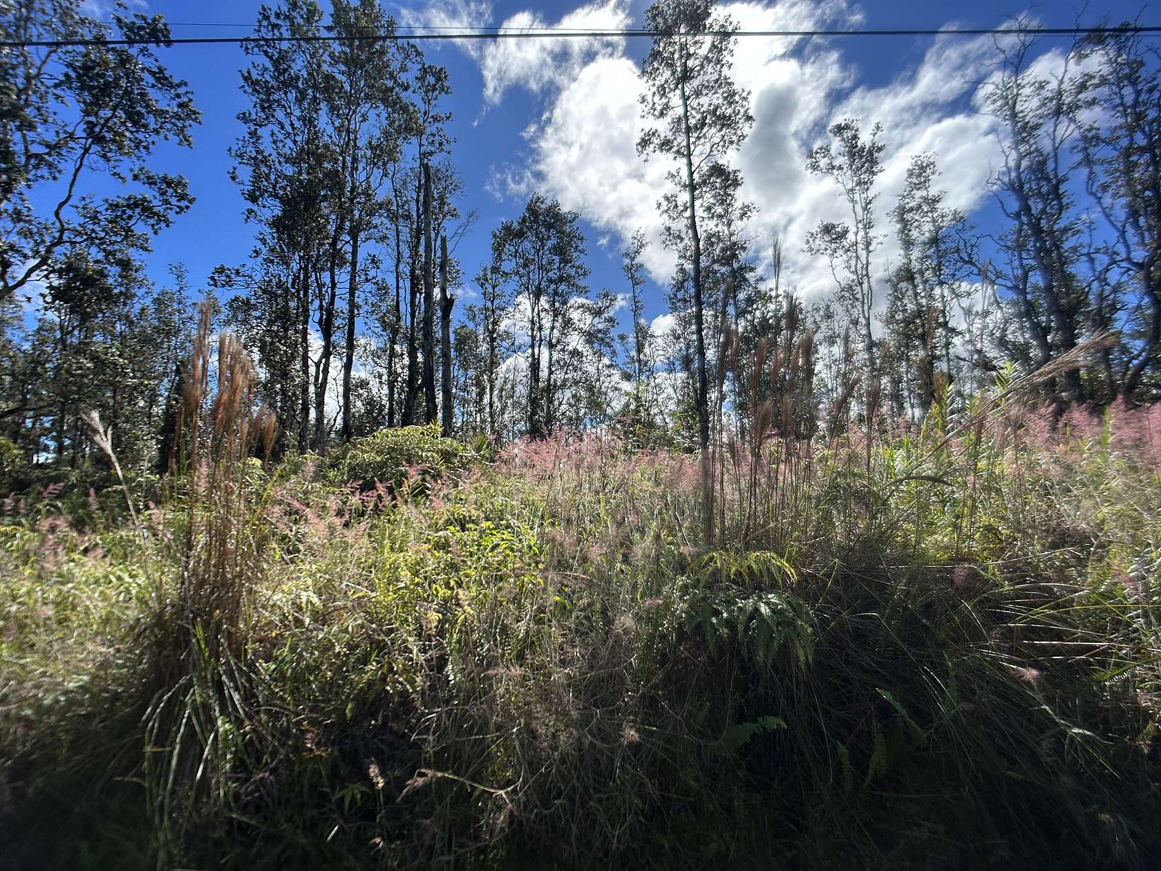 3 Acres of Land for Sale in Mountain View, Hawaii