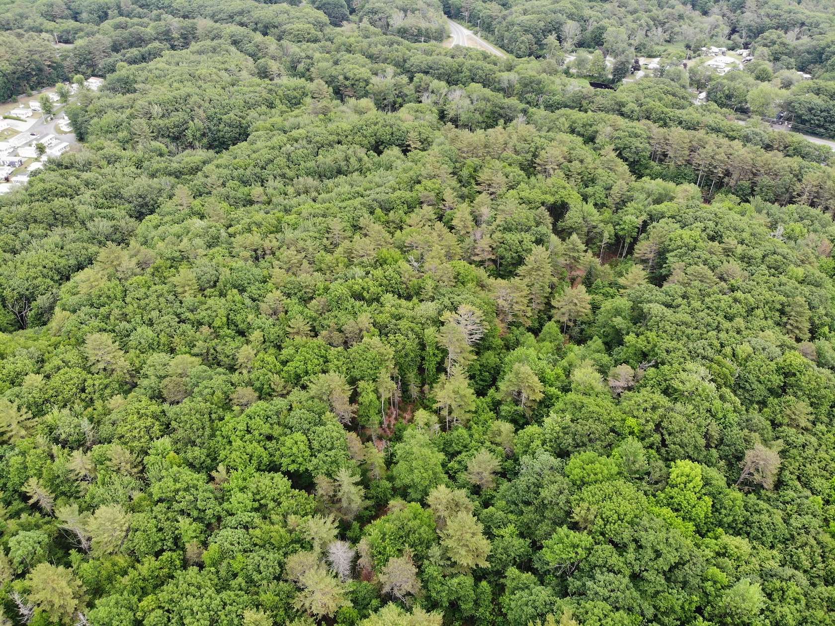 19.9 Acres of Land for Sale in Wells, Maine