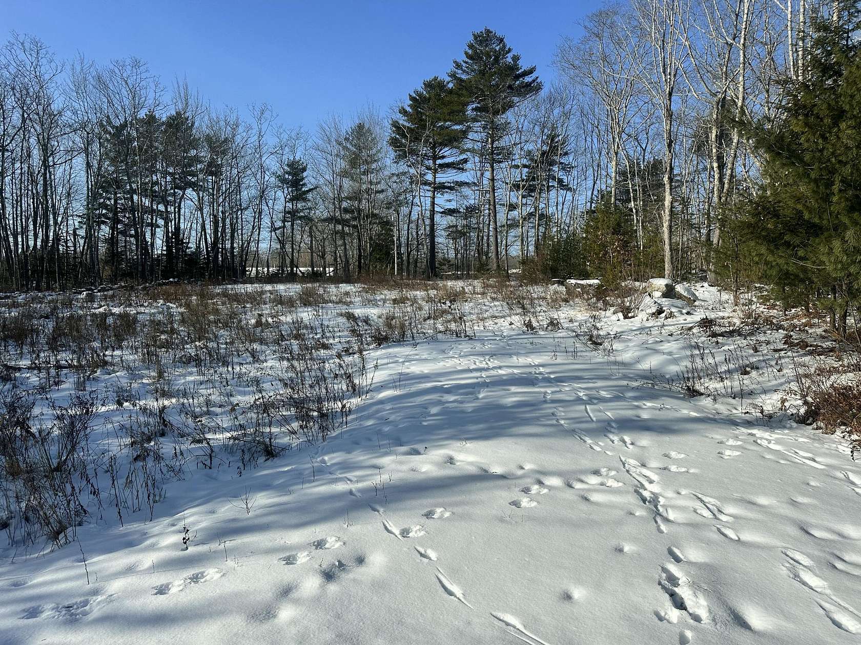 0.96 Acres of Residential Land for Sale in Rockport, Maine