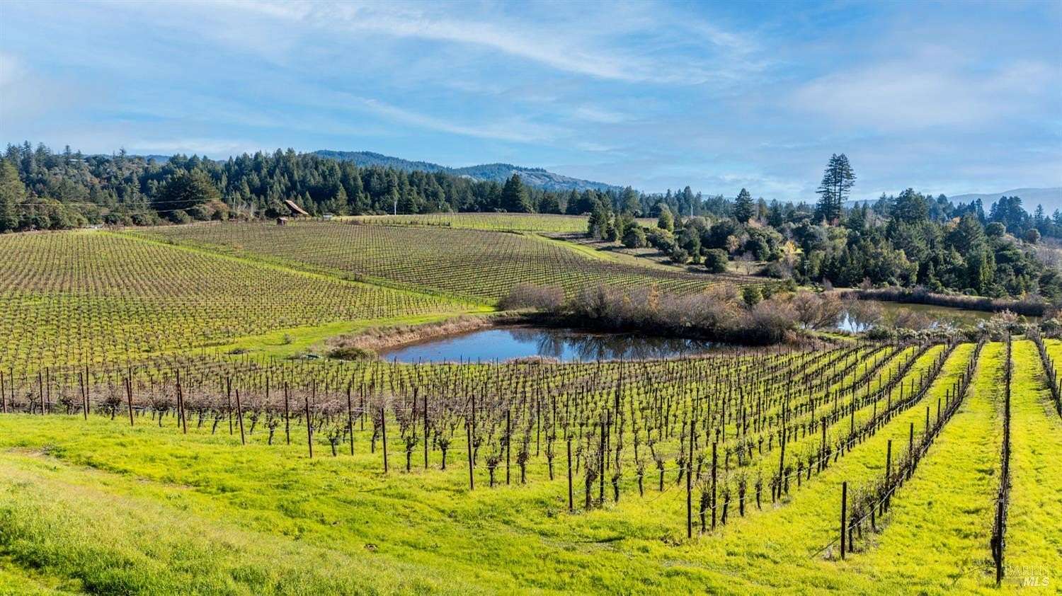 20.2 Acres of Land for Sale in Philo, California