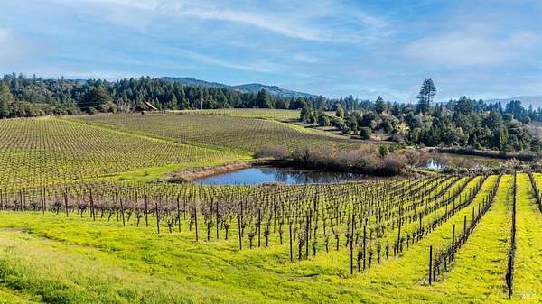 20.2 Acres of Land for Sale in Philo, California