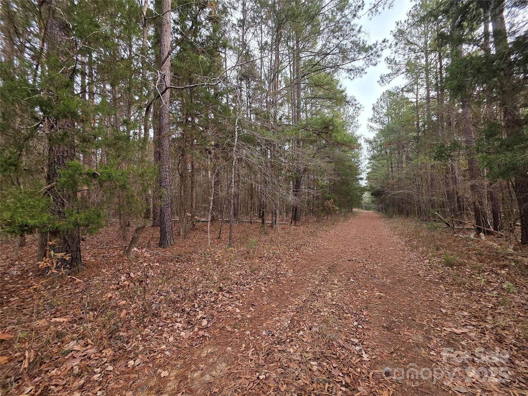 1.5 Acres of Residential Land for Sale in Lancaster, South Carolina