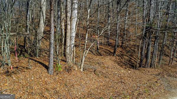 3.53 Acres of Residential Land for Sale in Talking Rock, Georgia