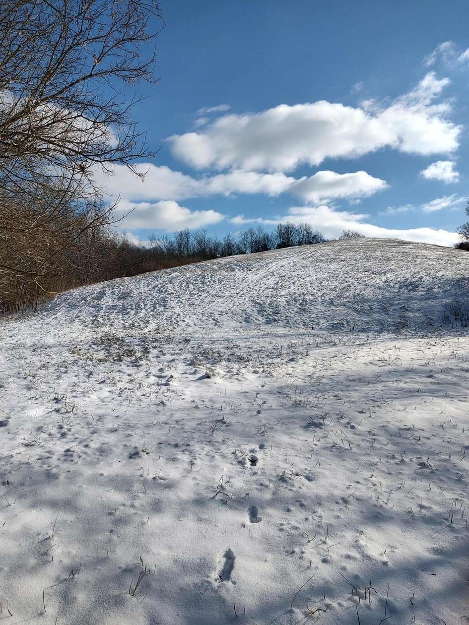 58 Acres of Agricultural Land for Sale in Carlisle, Kentucky