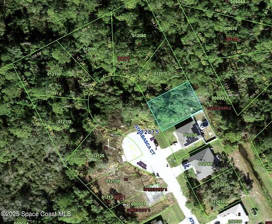0.16 Acres of Residential Land for Sale in Poinciana, Florida
