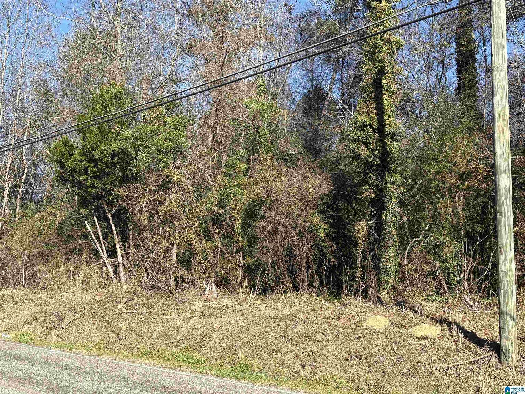 13.9 Acres of Land for Sale in Bessemer, Alabama