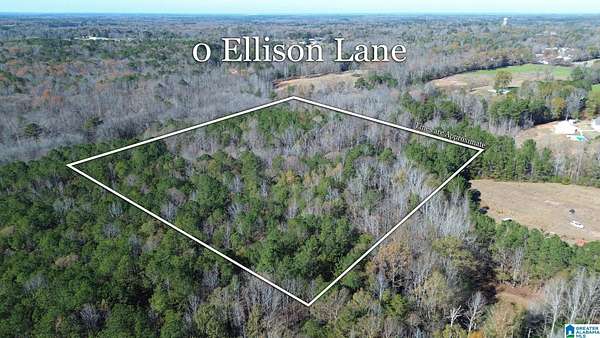 6 Acres of Residential Land for Sale in Jemison, Alabama