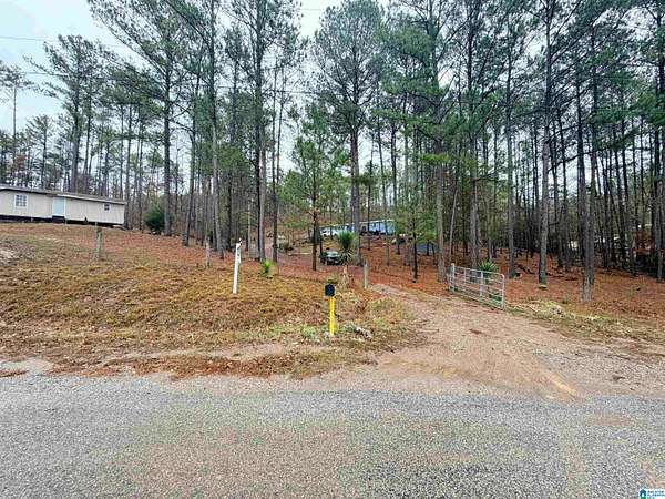 7 Acres of Residential Land with Home for Sale in Clanton, Alabama