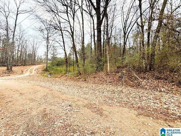 5.12 Acres of Residential Land for Sale in Anniston, Alabama