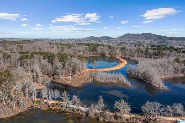42 Acres of Land for Sale in Wilsonville, Alabama