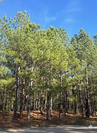 0.82 Acres of Residential Land for Sale in Broken Bow, Oklahoma
