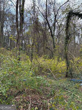 0.4 Acres of Residential Land for Sale in Atlanta, Georgia