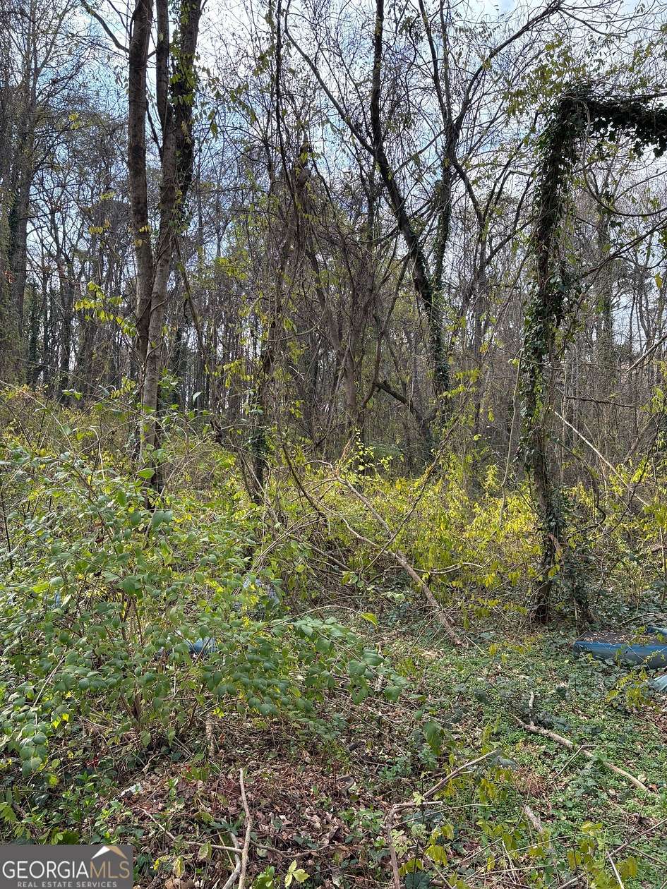 0.4 Acres of Residential Land for Sale in Atlanta, Georgia
