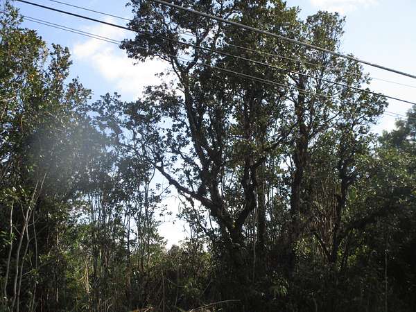 2 Acres of Land for Sale in Mountain View, Hawaii