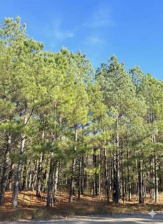 0.75 Acres of Residential Land for Sale in Broken Bow, Oklahoma