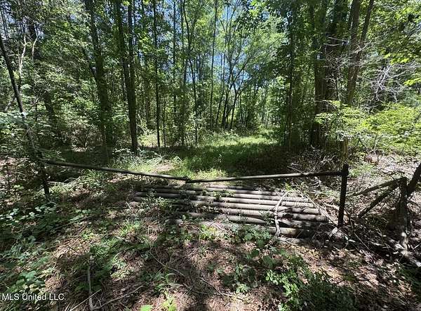 60 Acres of Recreational Land for Sale in Silver Creek, Mississippi