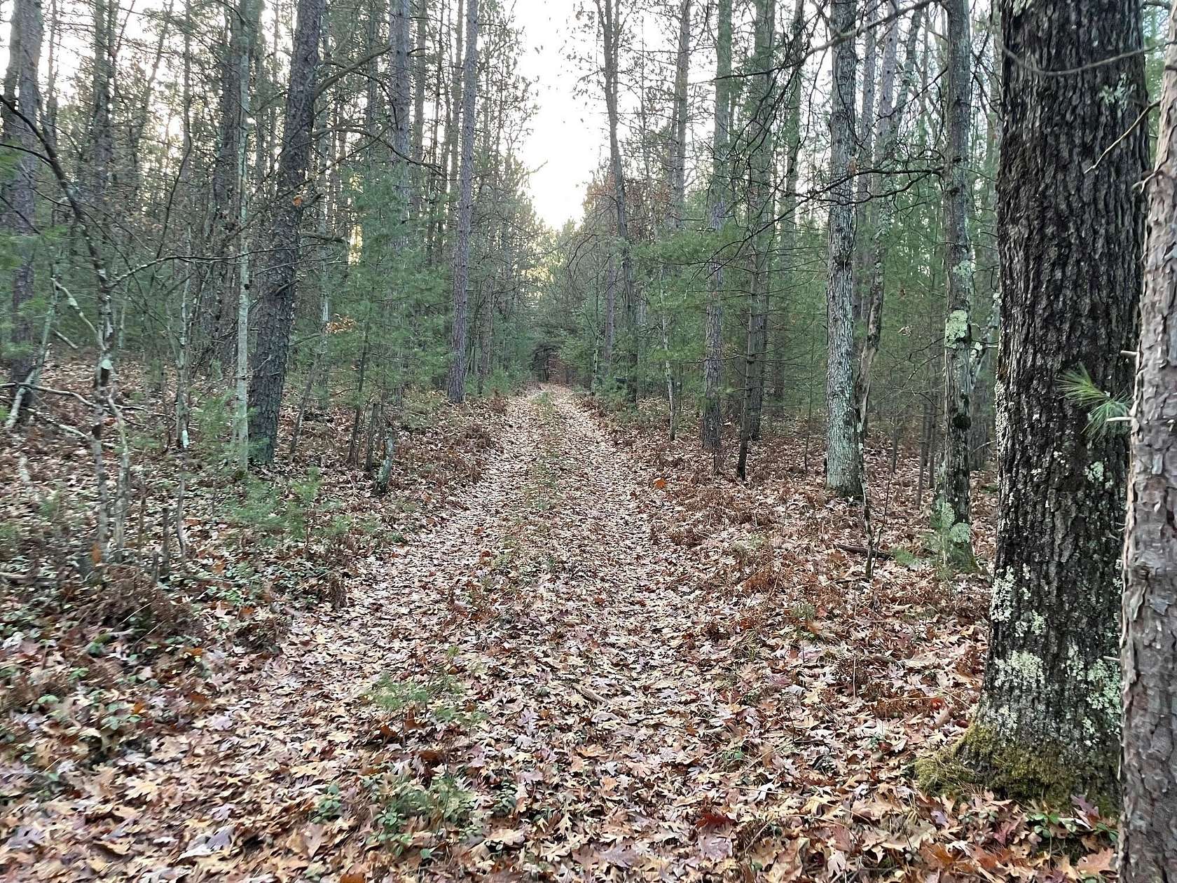 40 Acres of Recreational Land for Sale in Irons, Michigan