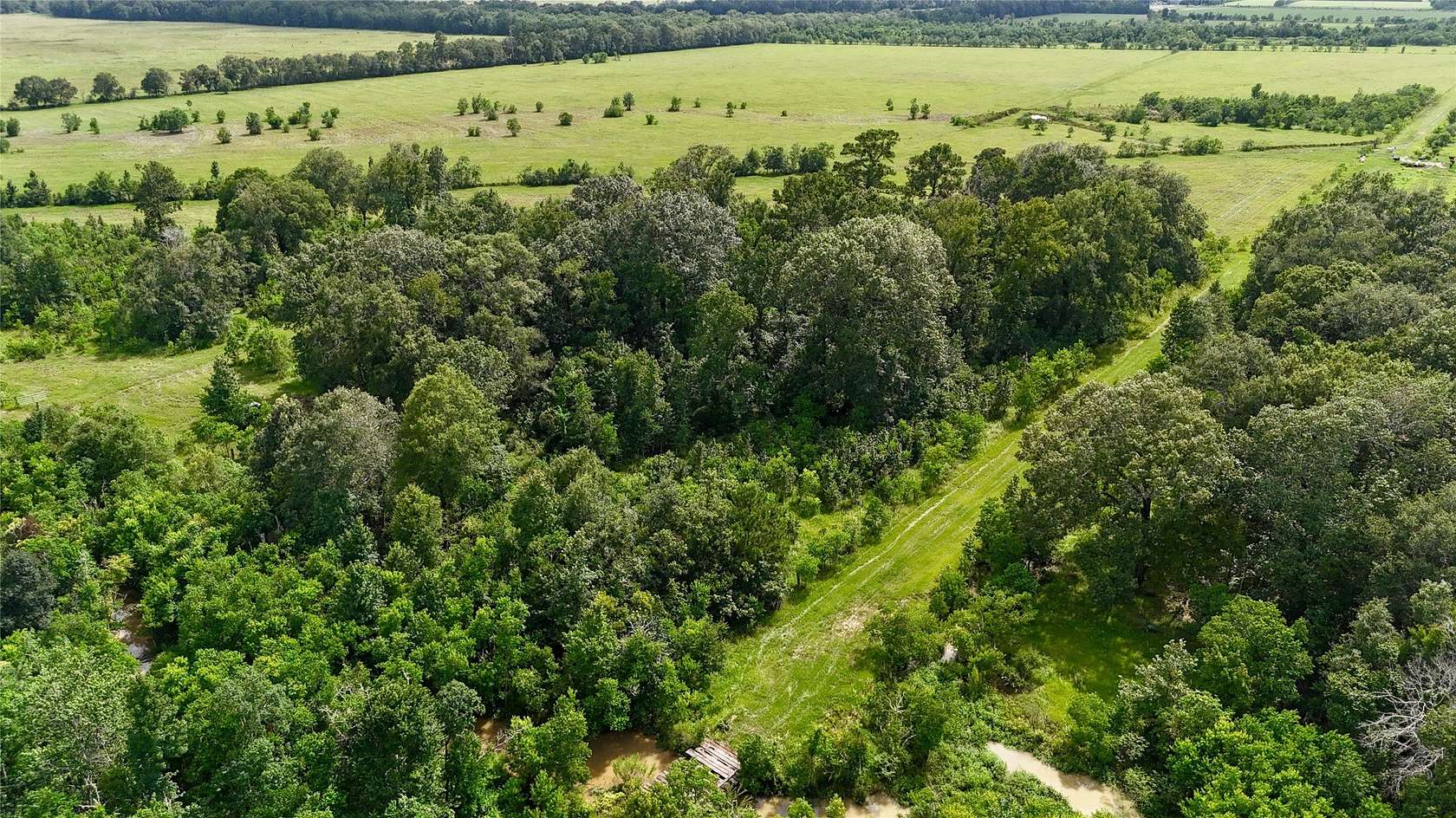 185 Acres of Recreational Land for Sale in Sour Lake, Texas