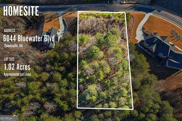 1 Acre of Residential Land for Sale in Gainesville, Georgia
