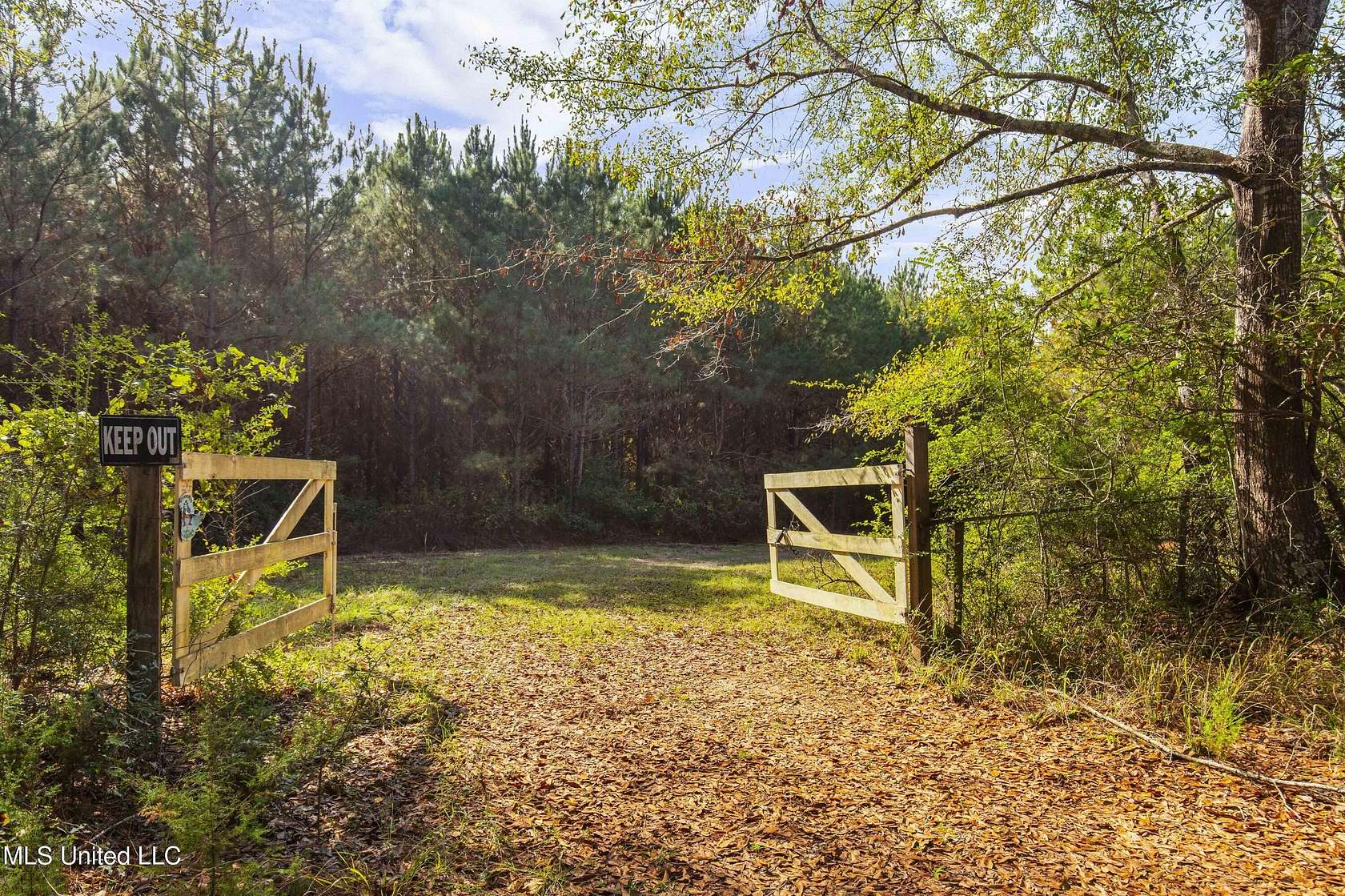 55 Acres of Recreational Land for Sale in Pinola, Mississippi