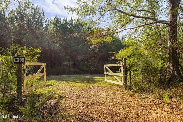 55 Acres of Recreational Land for Sale in Pinola, Mississippi