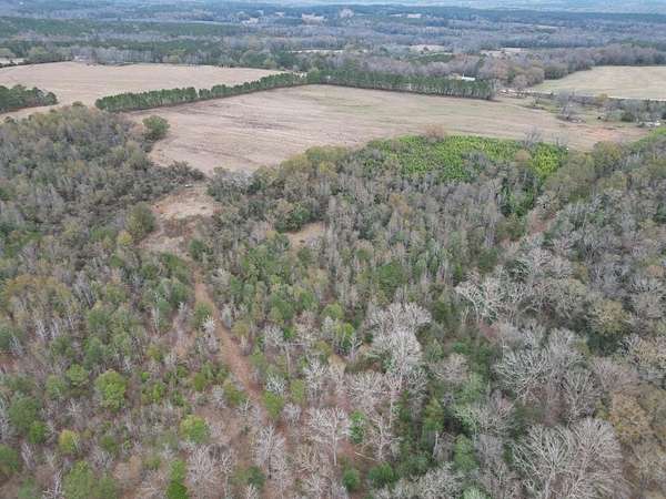 69.7 Acres of Recreational Land for Sale in Banks, Alabama