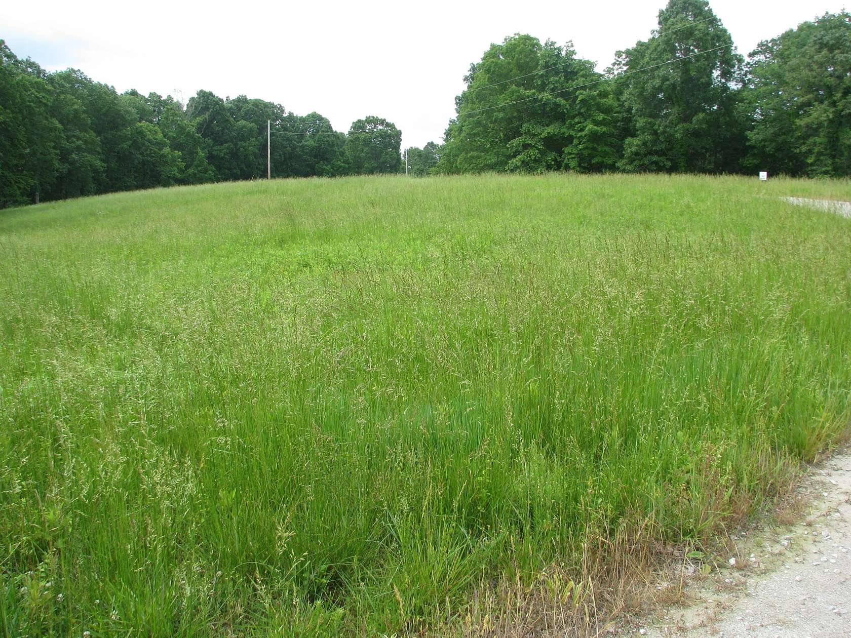 2 Acres of Residential Land for Sale in Waverly, Tennessee