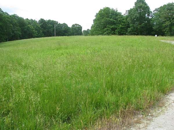 2 Acres of Residential Land for Sale in Waverly, Tennessee