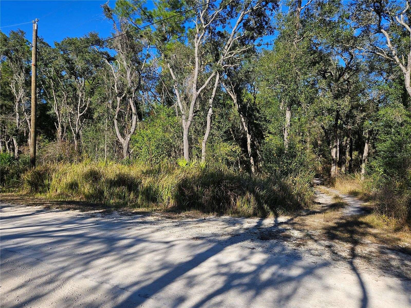 0.3 Acres of Residential Land for Sale in Webster, Florida