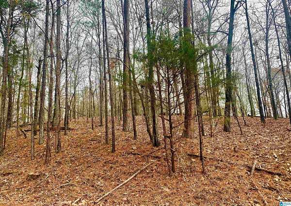 1 Acre of Residential Land for Sale in Southside, Alabama