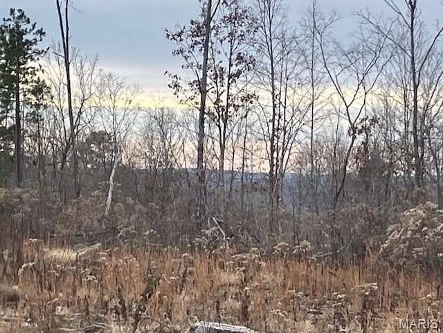 20 Acres of Recreational Land for Sale in Fredericktown, Missouri