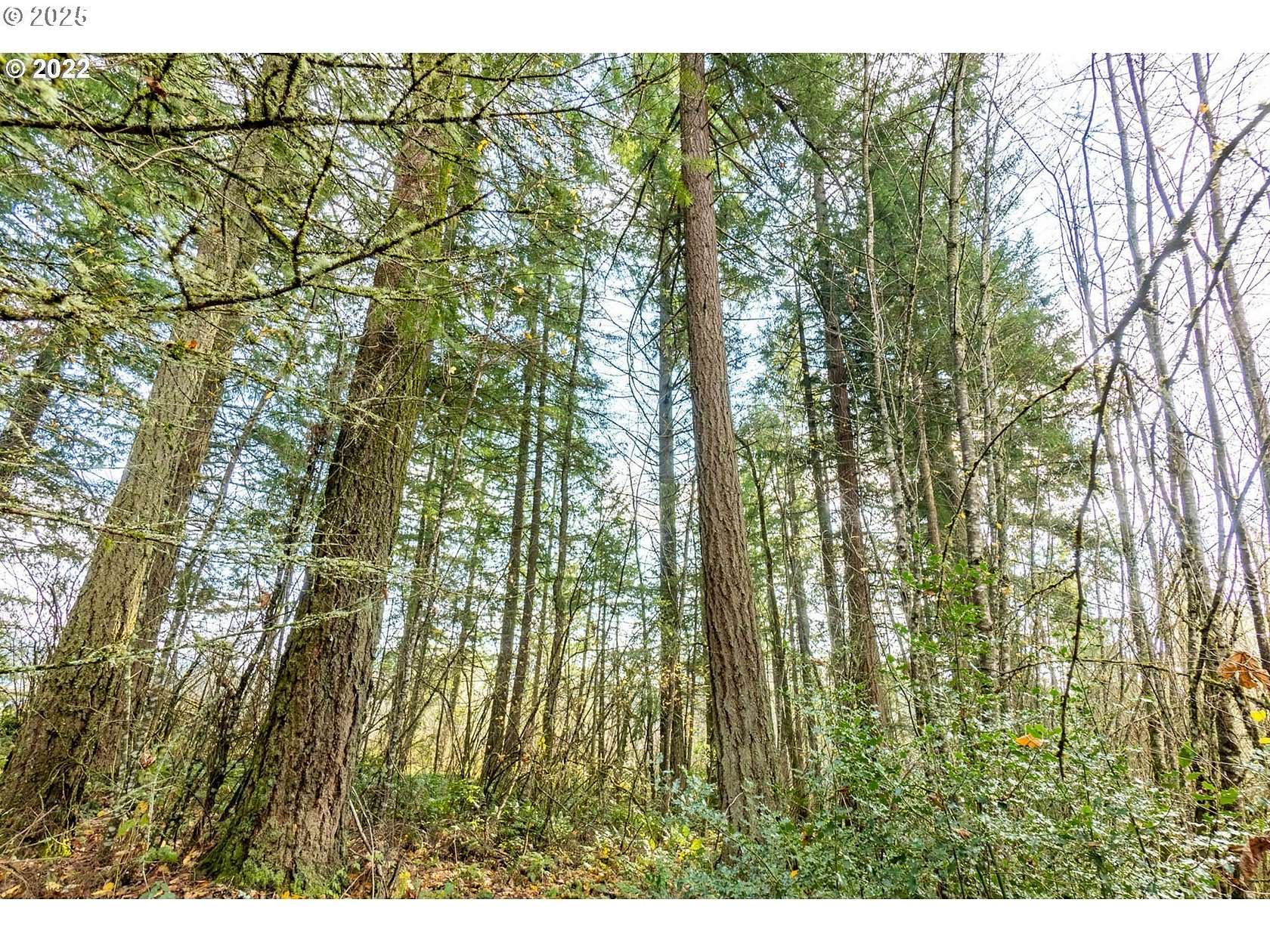 4.49 Acres of Residential Land for Sale in Hillsboro, Oregon
