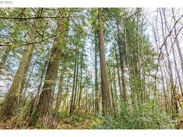 4.49 Acres of Residential Land for Sale in Hillsboro, Oregon