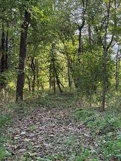 11.9 Acres of Recreational Land for Sale in Connersville, Indiana