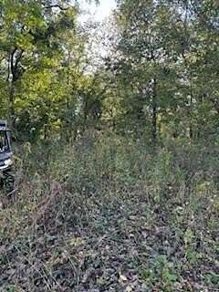 11.9 Acres of Recreational Land for Sale in Connersville, Indiana