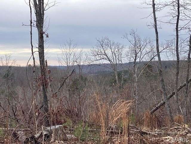 21.7 Acres of Recreational Land for Sale in Fredericktown, Missouri