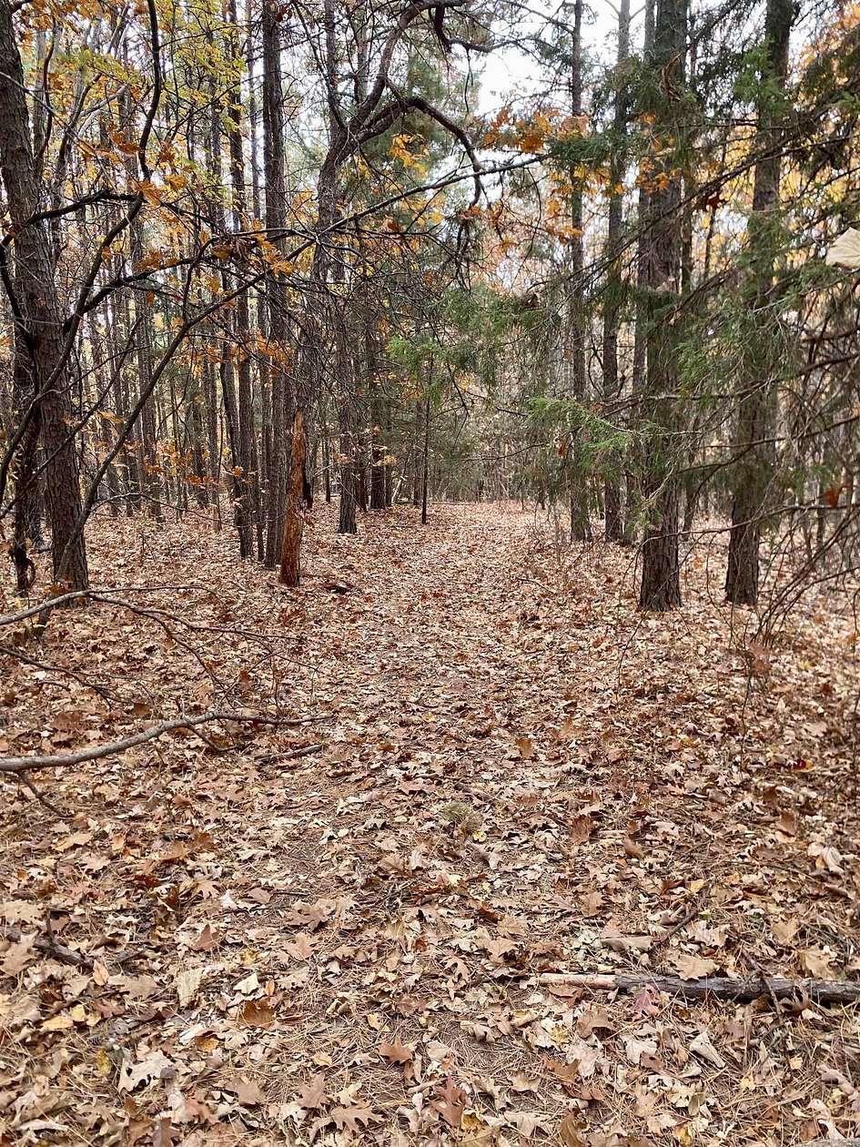 40 Acres of Recreational Land for Sale in Ozone, Arkansas