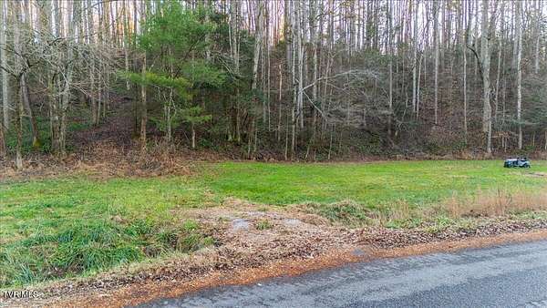3.4 Acres of Residential Land for Sale in Afton, Tennessee