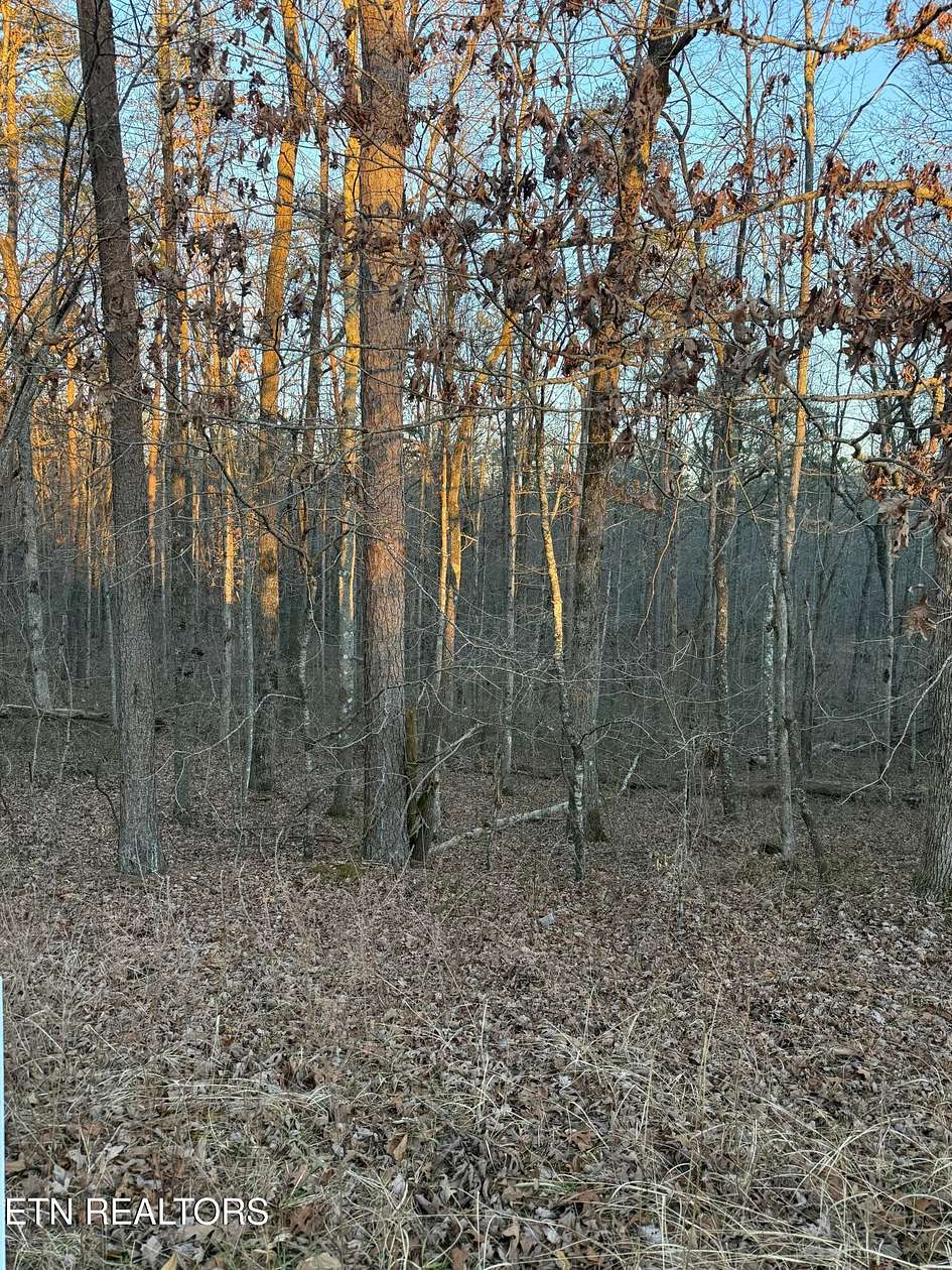 4 Acres of Residential Land for Sale in Monterey, Tennessee