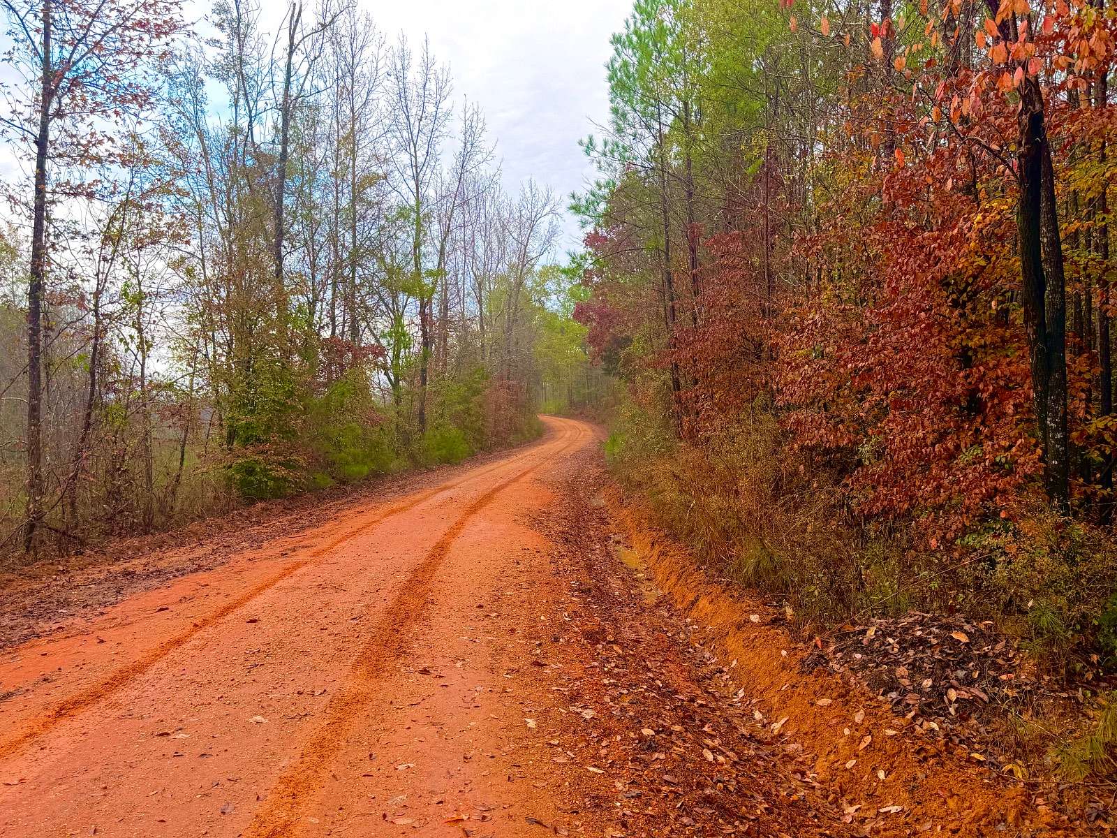 31.4 Acres of Recreational Land for Sale in Thomasville, Alabama